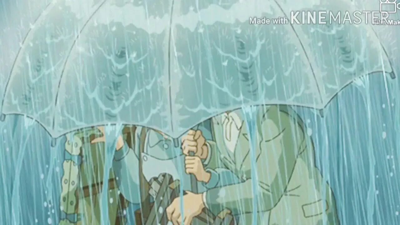 Wind the rain