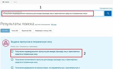 Сайт получить пропуск