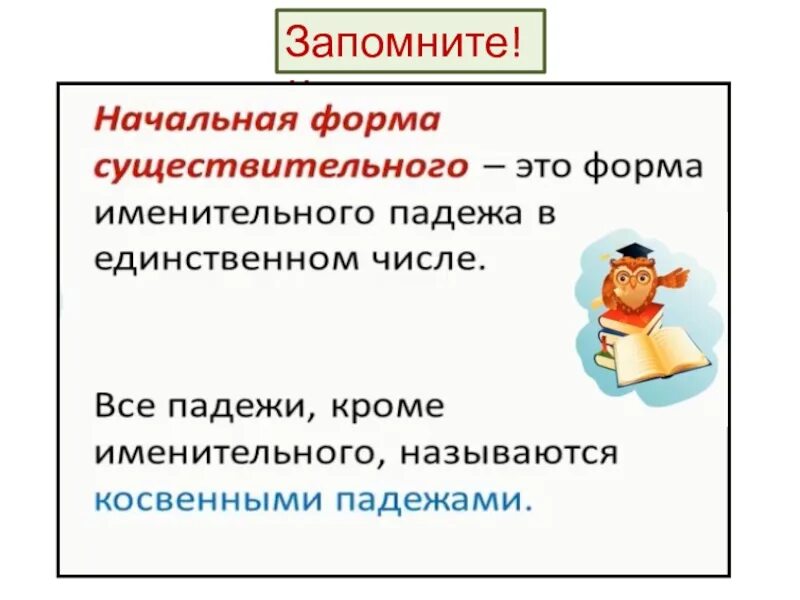 Начальной формой имени существительного является. Начальная форма существительного 3 класс. Начальная форма имён существительных это форма. Начальная форма имен существительных 3 класс. Начальная форма имени существительного правило.