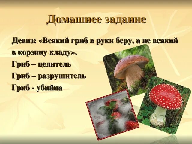 Девиз про грибы. Девиз для команды грибы. Отряд грибочки девиз. Девиз для отряда грибы. Схема летом в лесу приятно пахнет грибами