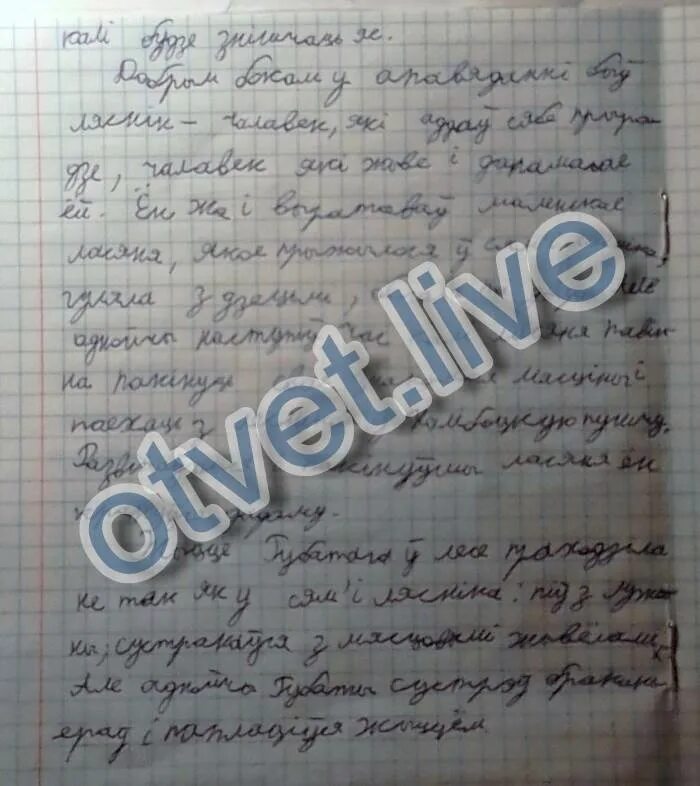 Водгук на твор губаты. Губаты сачыненне. Что такое водгук.