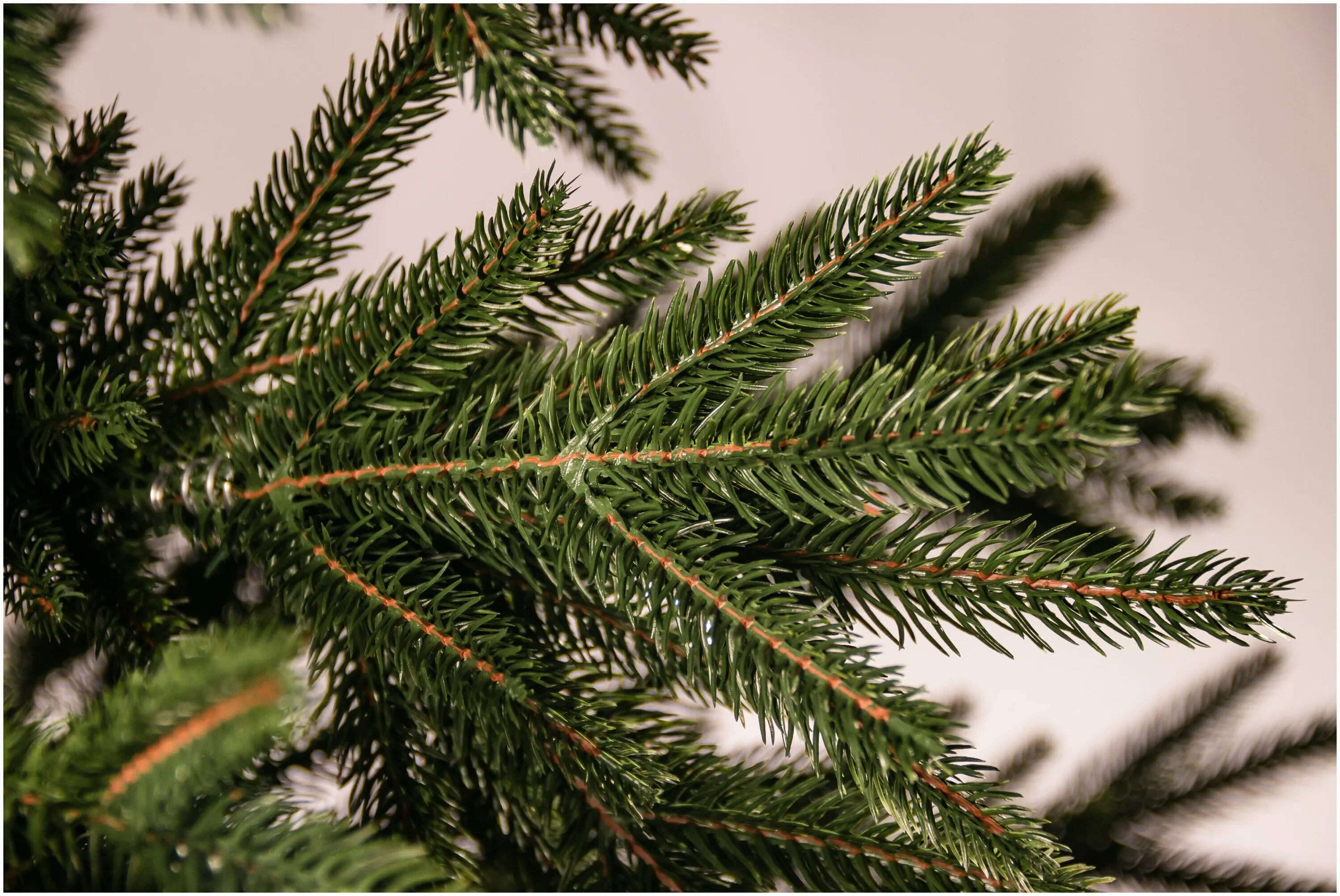 Чем отличается литая елка от обычной. Чем отличается литая елка от обычной. 1. Елка ель сосна. Искусственная елка хаген 3 м, литая+пвх.