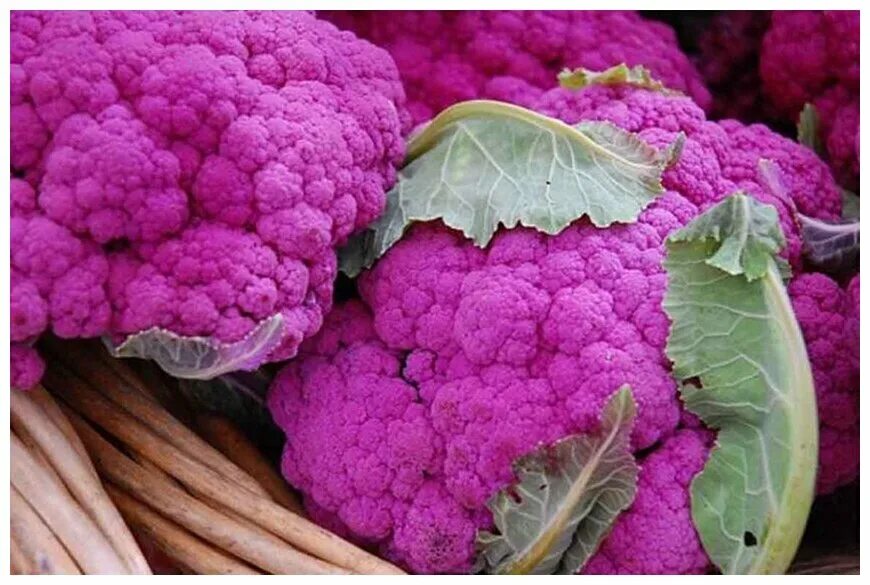 Капуста цветная Cauliflower Di Sicilia Violetto - купить семена в интернет-магаз
