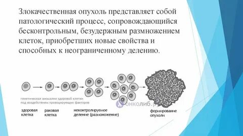 Характеристика злокачественных опухолей