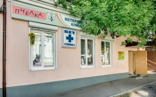 14 линия сад. Ветеринарная клиника пчелка, ростов-на-дону, улица 14-я линия. пчелка ветеринарная клиника ростов на 14 линии. ветклиника пчелка на щербакова. ветеринарная клиника вельск пчелка.