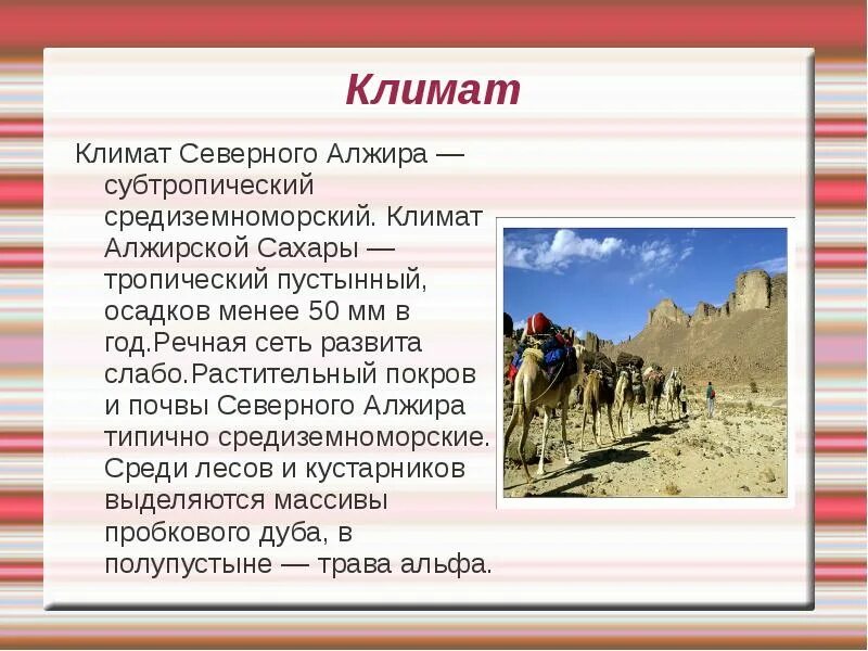 Алжир доклад. Алжир презентация. алжир страна доклад. алжир краткая характеристика.