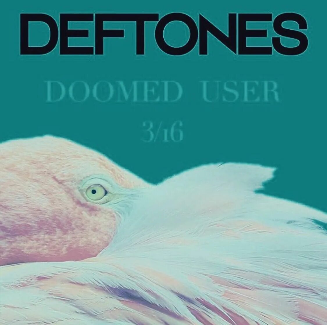 Дефтонс обложка альбома. Deftones "around the fur (cd)". Deftones 1996. Дефтонс обложка. The studio album collection deftones.