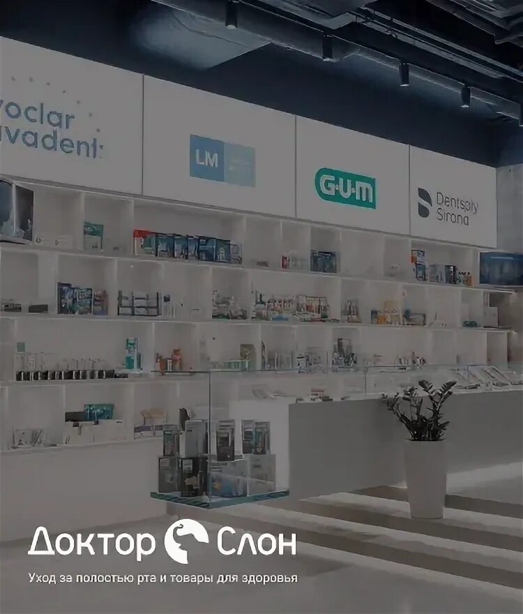 Панорама: Доктор Слон, средства гигиены, Весковский пер., 4, Москва - Яндекс Кар