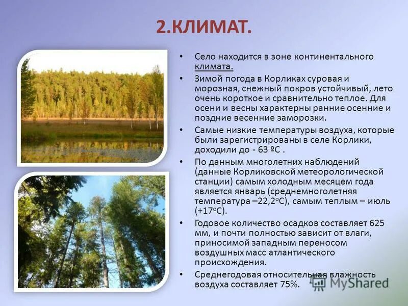 континентальный климат характерен для. континентальный тип климата. климатограмма умеренно континентального пояса. климат типы климата. что характерно для континентального климата.