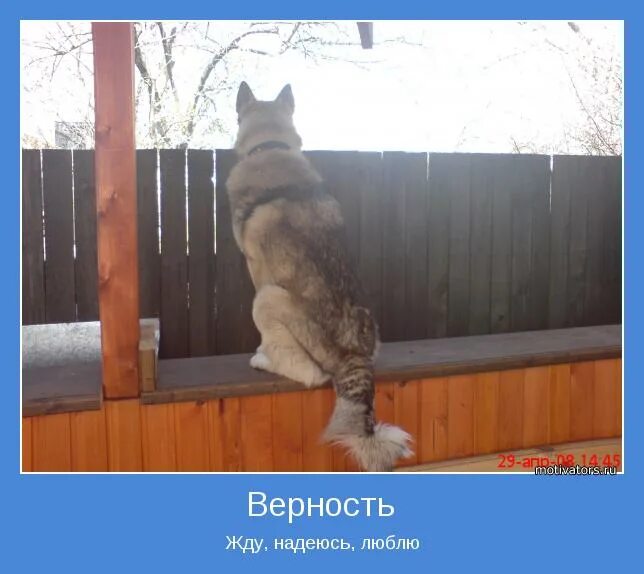 Надеяться низкий. Верим надеемся ждем. жду надеюсь и верю картинки. картинки ждать и надеяться. любить надеяться и ждать.