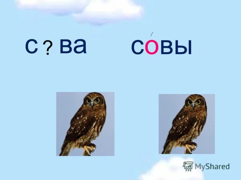 Сова безударный гласный звук. Сова Совы безударный гласный. Сова ударная гласная. Проверка Филин. Слово сова безударная гласная