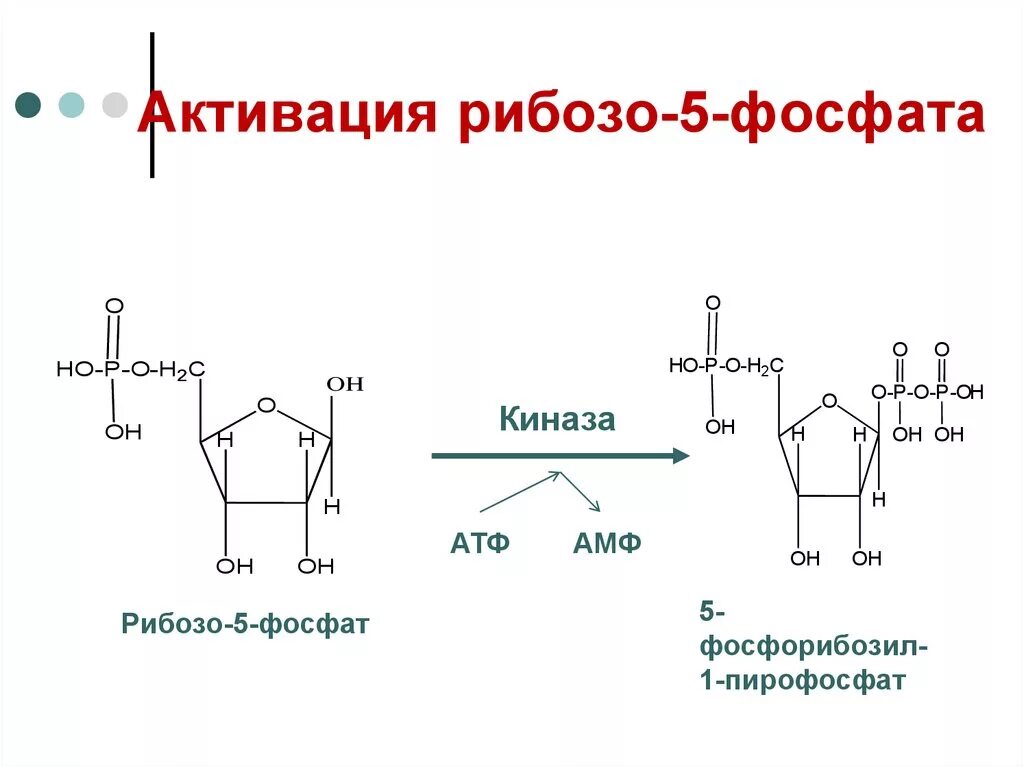 Схему образования рибозо-5-фосфата. Пути образования рибозо 5 фосфата. Синтез гистидина из рибозо 5 фосфат. Рибозо 5 фосфат + АТФ. Синтезируется цепь содержащая рибозу