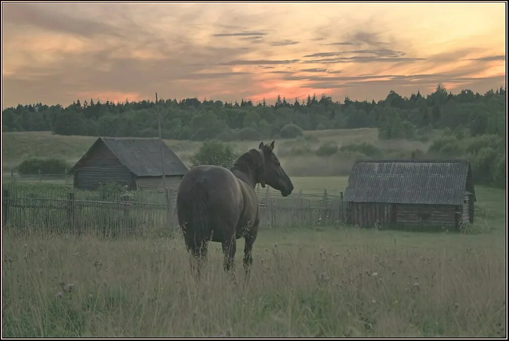 Село лошадка