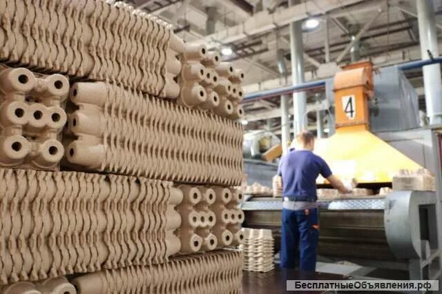 Картонно-бумажный комбинат в набережных челнах. Упаковщик картона. Изделия из пульперкартона. Каменская бумажно-картонная фабрика (кбкф). Алексинская бумажно-картонная фабрика.