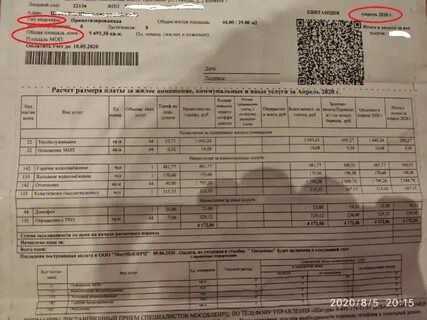 Задолженность по найму жилого помещения