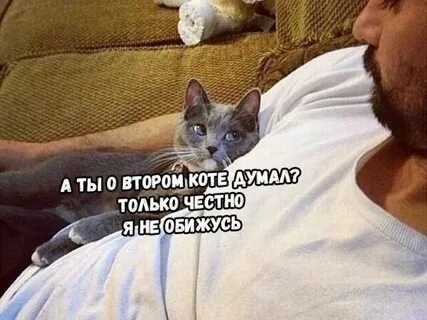 В каждой девушке вижу свою девушку