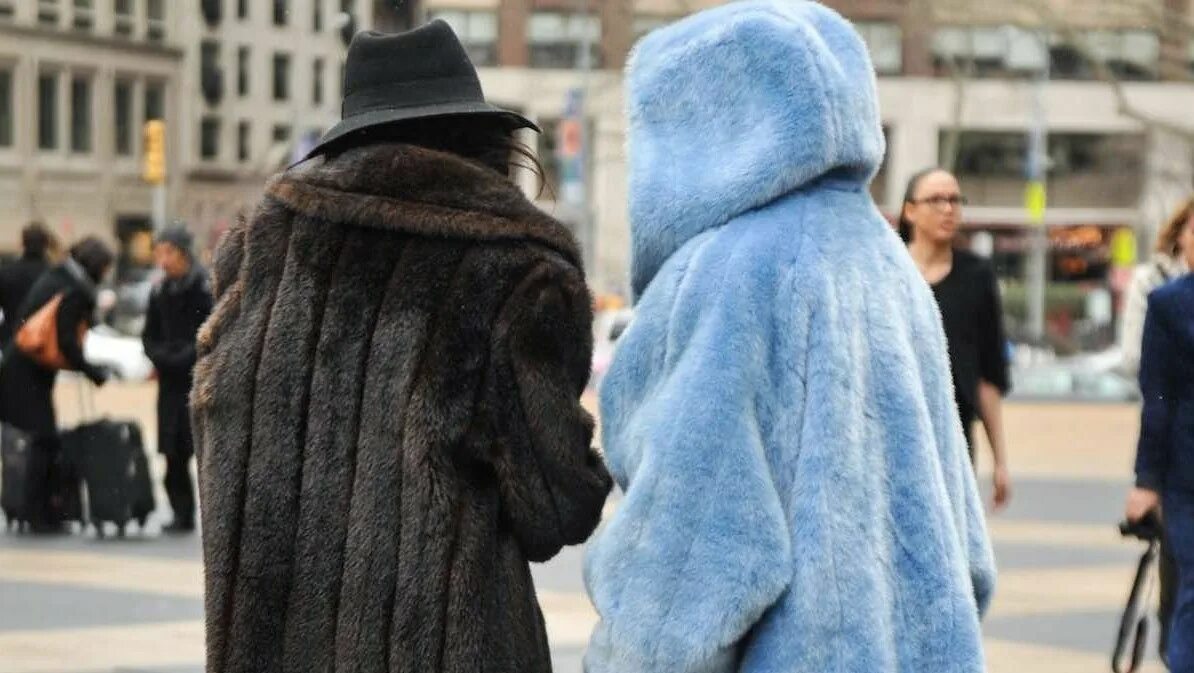 Fix fur. Fix fur