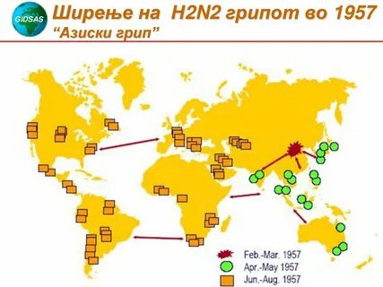 Документы пандемия