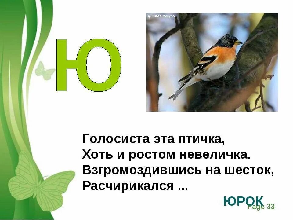 Загадка про букву ю. Зверь на букву ю. Животные на букву ю. Загадки про животных на ю. Стихотворение на букву ю