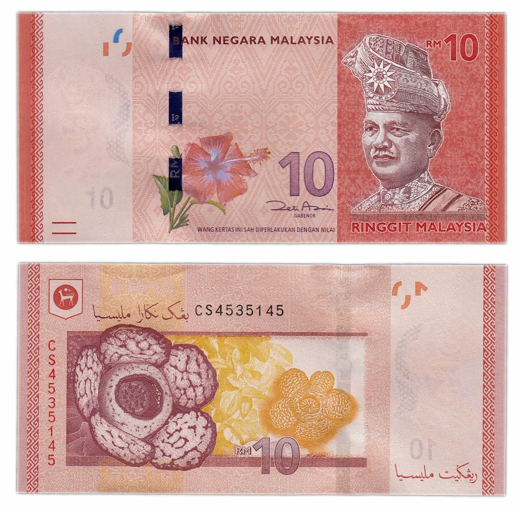 Банкноты Малайзии. Купюры Малайзии. Малайзийский ринггит банкноты. Ринггит малайзия