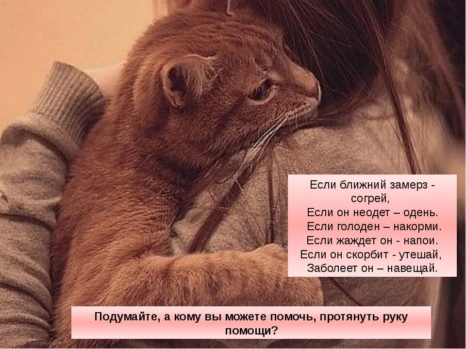 Можешь меня согреть текст. Можешь меня согреть текст. Можешь меня согреть текст. Мне так не хватает твоей красоты текст. Не согреют душу бриллианты.