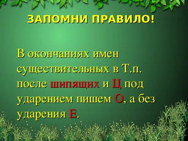 Гласная е в существительных после шипящих. Окончания существительных в творительном падеже после шипящих. Окончание после шипящих и ц в творительном падеже. Окончание сущ в творительном падеже после шипящих. Окончание существительных в творительном падеже после шипящих и ц.