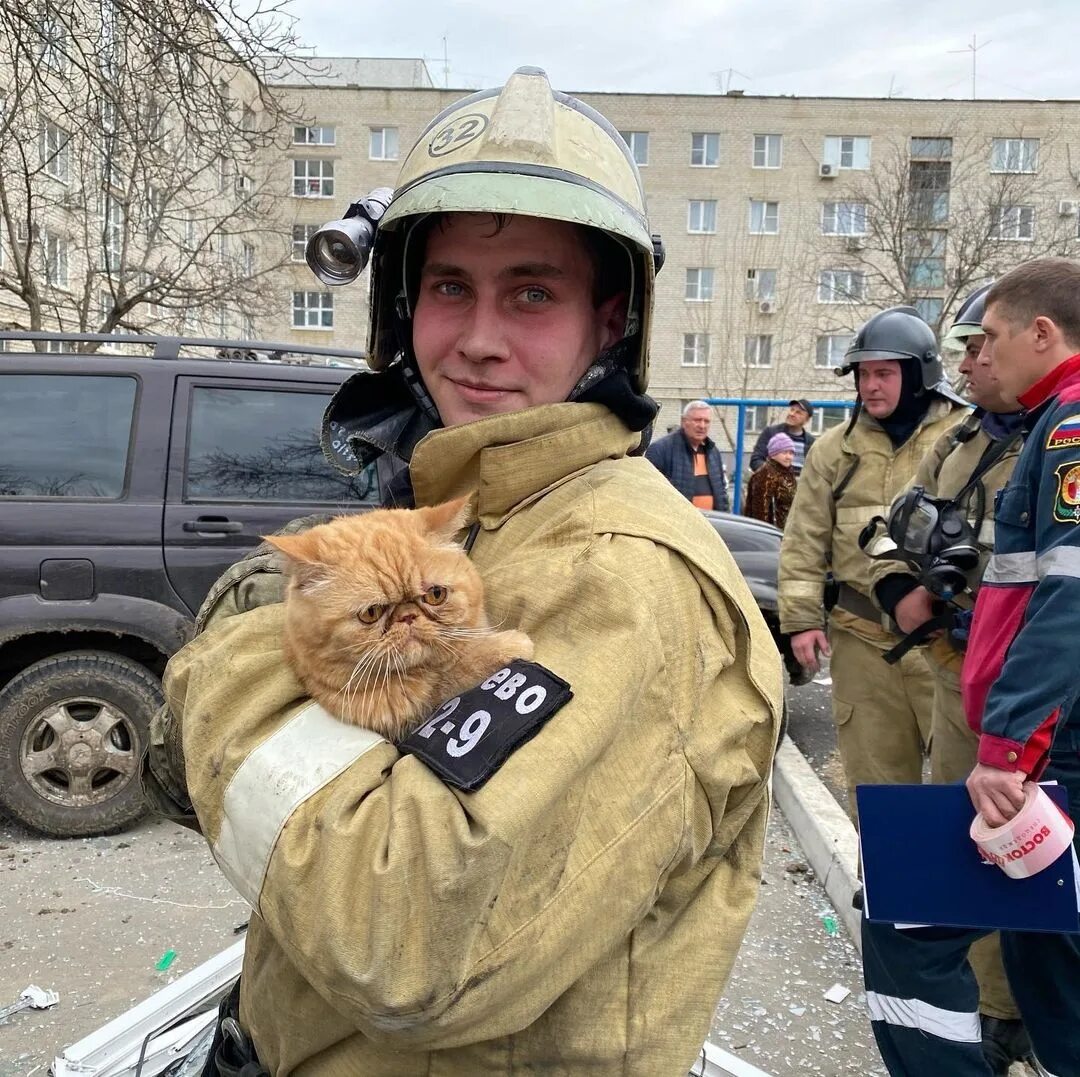Пожарный спасает кота. Пожарные спасли котика. Кот пожарник спас. Пожарный спас котика. Кошечки спасают