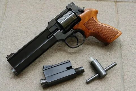 Could guns