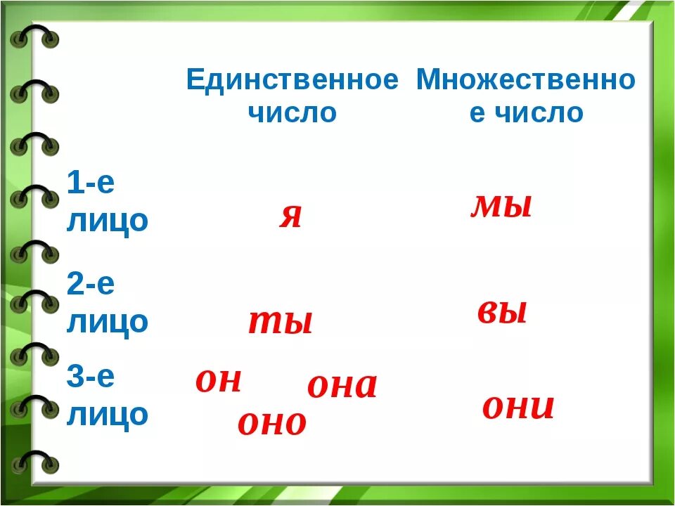 Лица местоимений таблица. Местоимения лицо и число таблица. Первое лицо множественное число. Определи лицо местоимений.