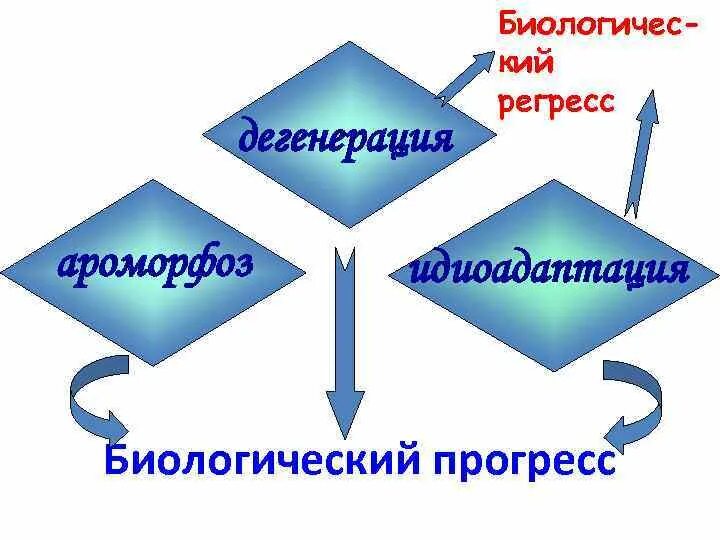 Дегенерации приводят к биологическому прогрессу. Общая дегенерация это Прогресс или регресс. Прогресс регресс идиоадаптация. Биологический Прогресс дегенерация. Общая дегенерация примеры.