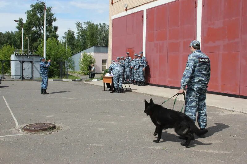 Приказы кинолога. Кинологический центр Аргус -м Москва. Кинологический центр МВД Москва. Зональный центр кинологической службы Нижний Новгород. 676 ДСП Кинологическая служба.