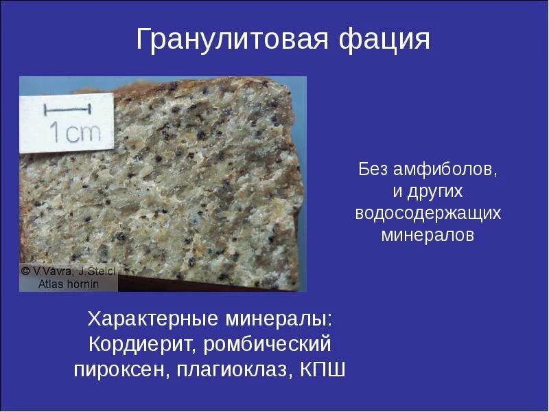 Карбонат горная порода. Осадочная порода 8 букв сканворд. Слоистые горные породы. Осадочные химические горные породы. Осадочные органические горные породы.
