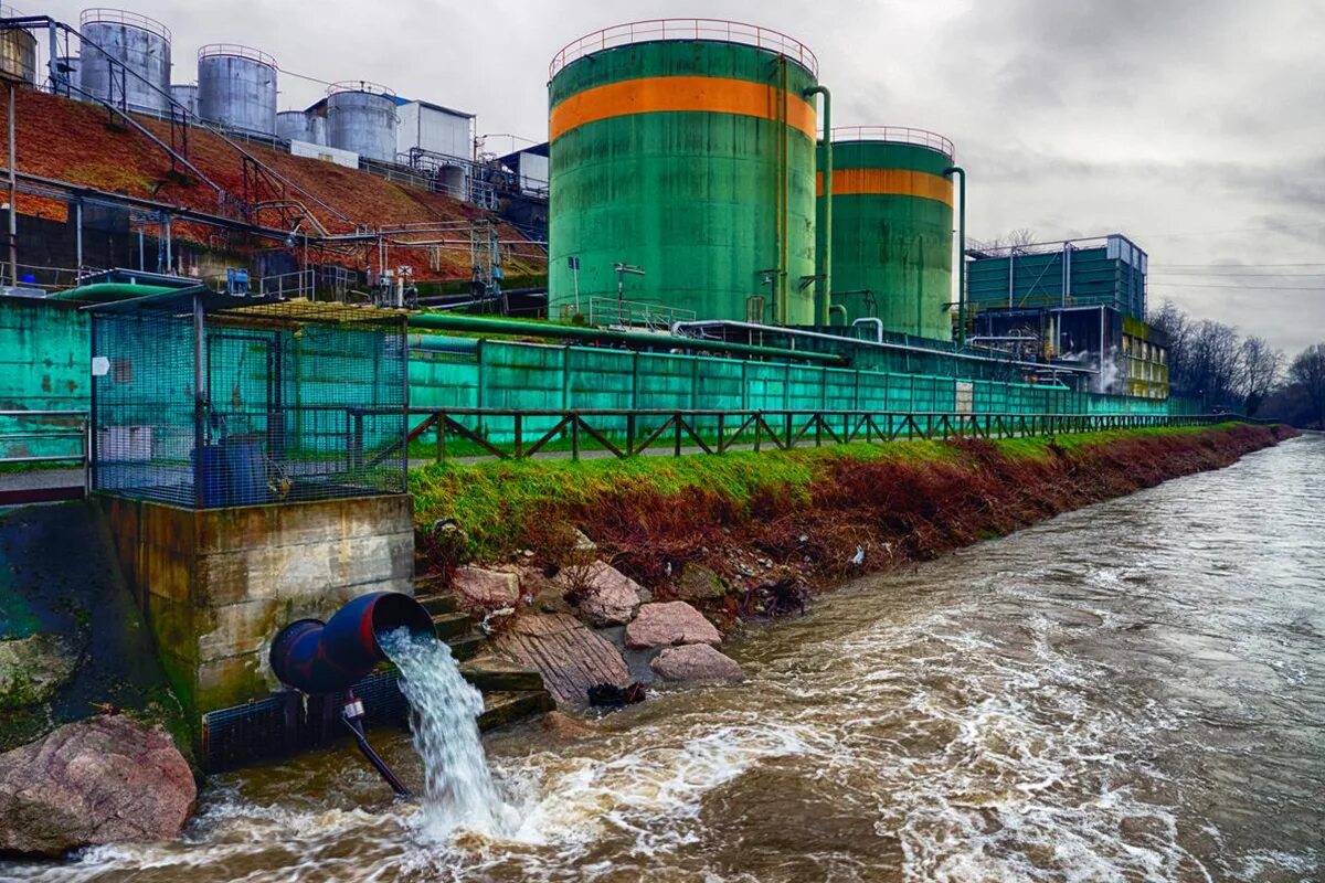 Грязная кампания за честные выборы мопсы. «грязная кампания за честные выборы», джейсон. Грязная кампания за честные выборы мопсы. Природа и заводы. Магнитогорский металлургический комбинат.