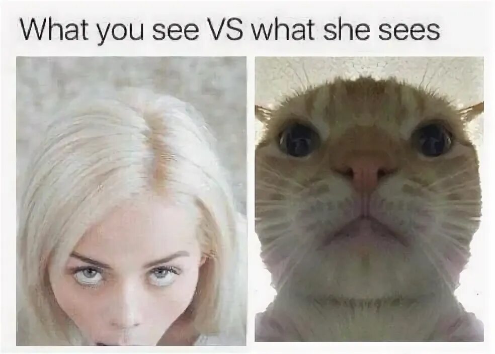 Where does she work. I will английский язык. Where did. Картинки what food do you like. She did what he wanted.