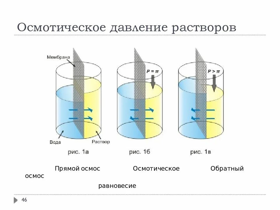 Рассчитать осмотическое давление 20. Рассчитать осмотическое давление 20