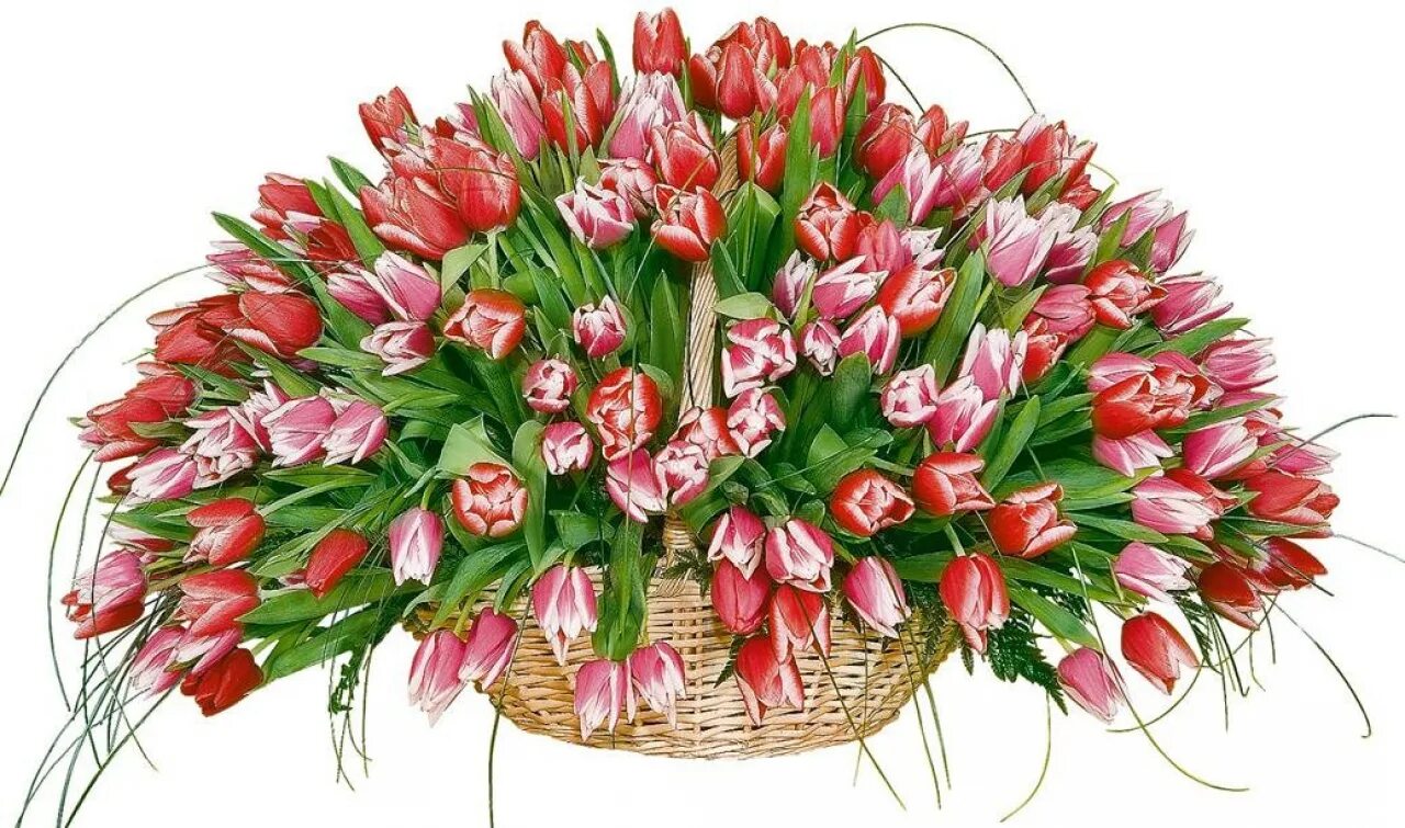 Букет тюльпанов. Весенний букет. Букет весенних цветов. Красивые букеты из тюльпанов.