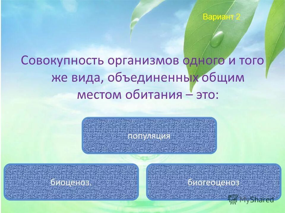 Совокупность условий в которых обитает живой организм. Способности живых организмов. Живой организм целостная система. Совокупность живых организмов. Структурная единица всех живых организмов.