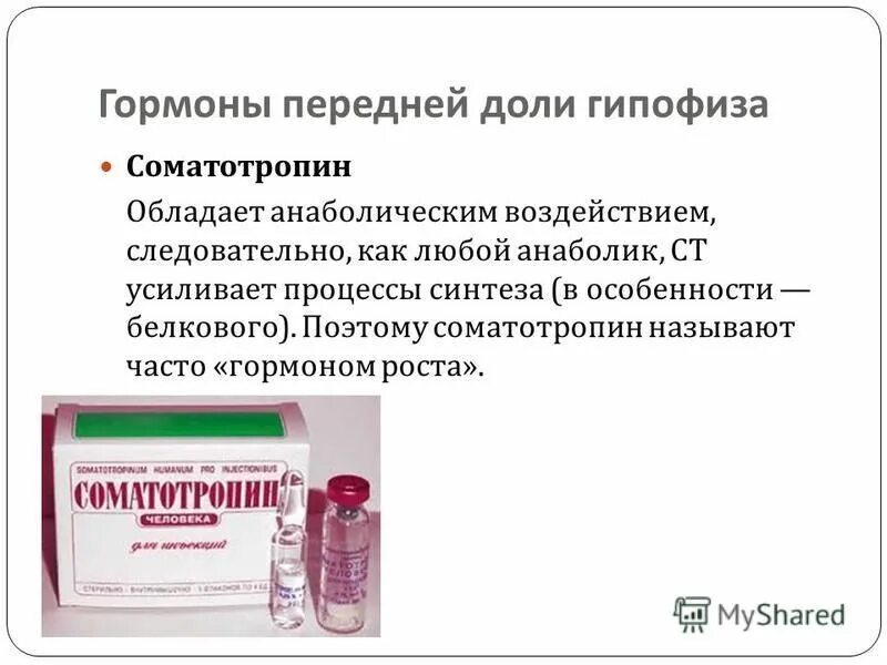 Гормон роста в длину. Соматотропин гормон роста. соматропин функции гормона. соматотропный гормон выполняет следующие функции.