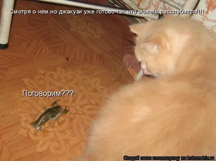 Разведенная одинокая