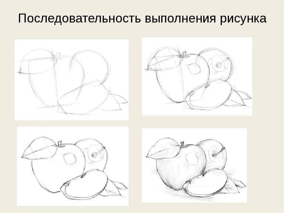 Презентация рисование поэтапно натюрморт. Этапы штрихования натюрморта. Рисование натюрморта пошагово. Последовательное рисование натюрморта. Этапы выполнения рисунка натюрморта.