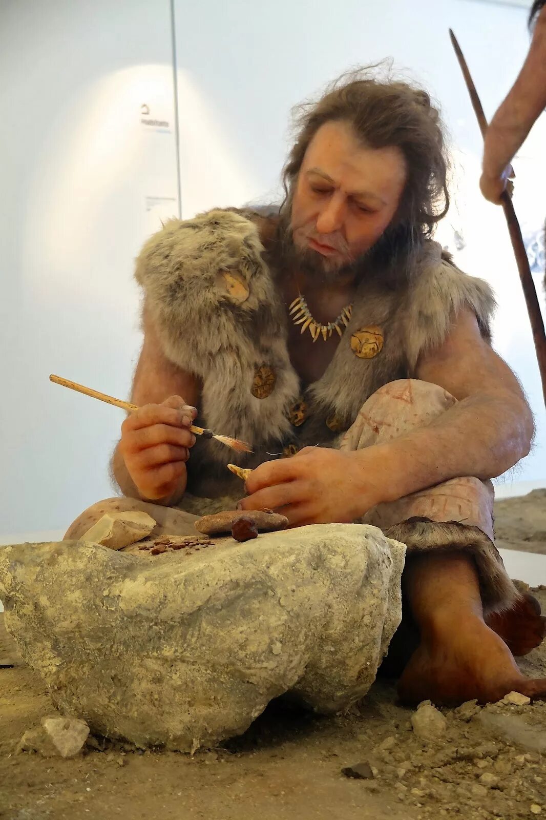 кроманьонец древний человек. неоантроп кроманьонец. кроманьонец неандерталец сапиенс сапиенс. первые кроманьонцы. неоантроп кроманьонец.