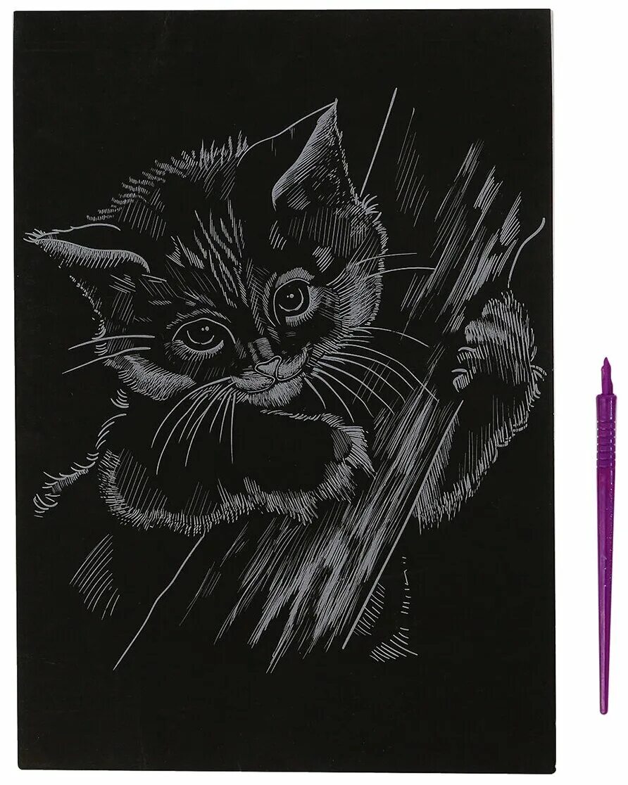 Кот гравюра. Гравюра "котёнок" с металлическим эффектом серебра а4 2147948. Кот гравюра. Кот гравюра. Старинные гравюры с кошками.