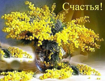 Поздравляю с днем мимозы любовниц и коллег