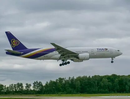 Тай 200