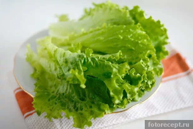 Что такое латук ромэн кресс-салат. Салат листовой рваный. Салат ромейн для цезаря. Листья салата для цезаря. Кейл цезарь.