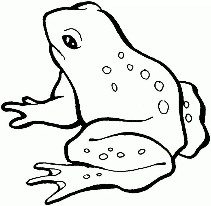 Раскраска лягушка для детей распечатать бесплатно Frogs, Tree frogs and Frog drawing on Pinterest Frog coloring pages, Frog drawin