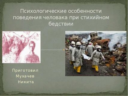 Поведение человека после