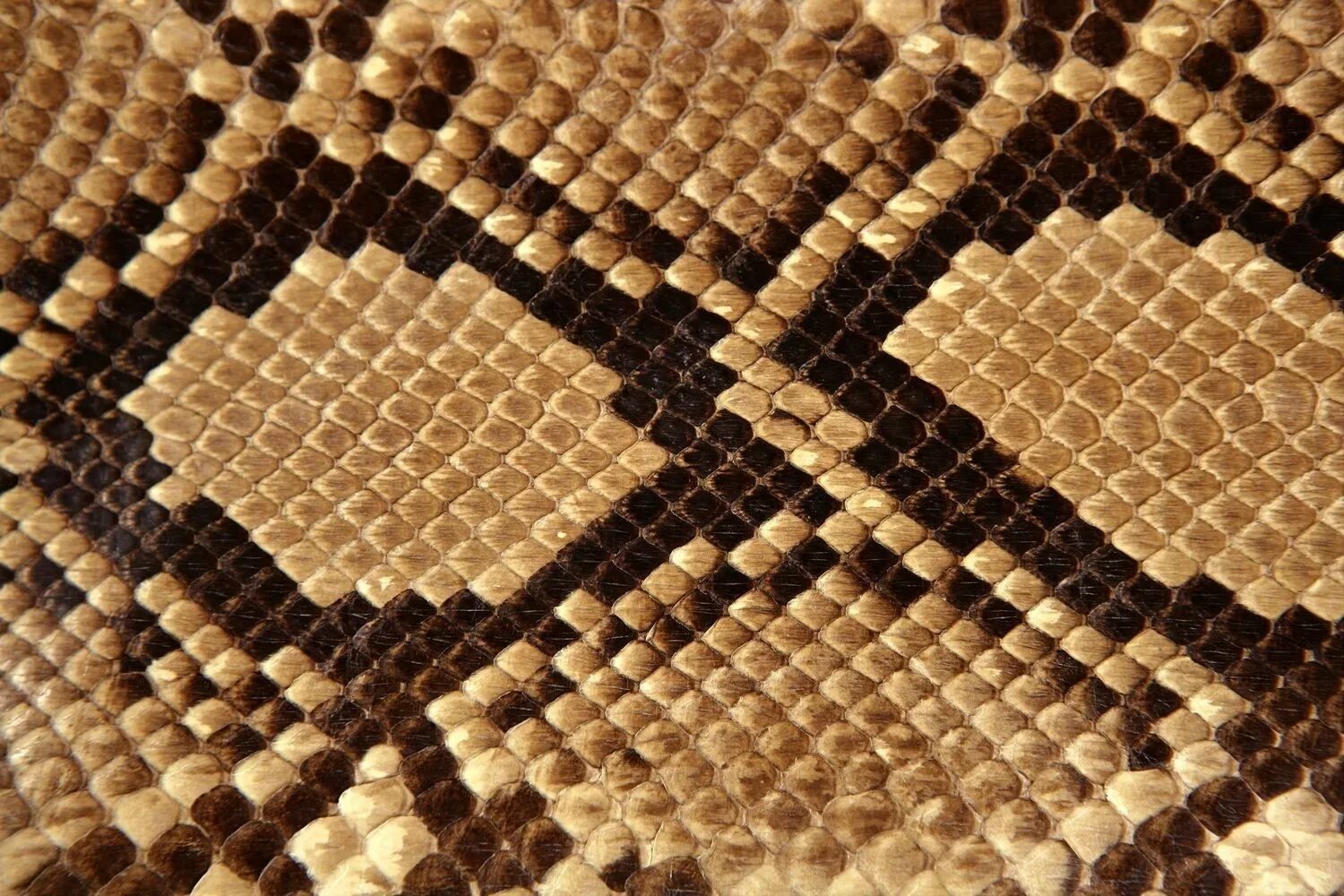 Snake pattern