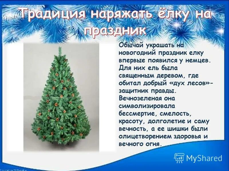 Рождественская елка. Сочинение про елку. Когда поставили первую елку. Центральная елка в ярославле. Петр 1 первая елка в россии 1852 год.