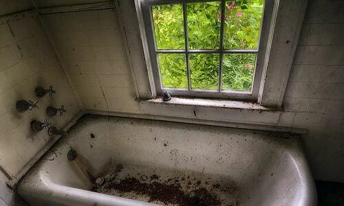 К чему снится грязная ванна. Грязная ванна. Приснилась ванная с грязной водой. Грязная ванная комната во сне. Приснился потоп в ванне.